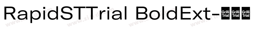 RapidSTTrial BoldExt字体转换